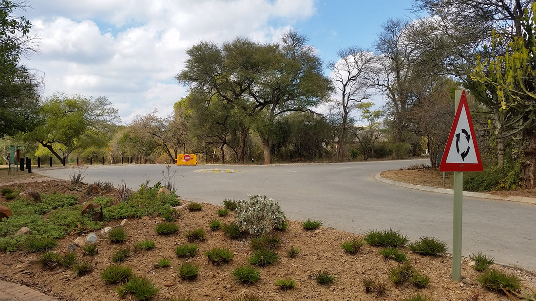 SKUKUZA REST CAMP - A LOOK INSIDE AN EERILY QUIET CAMP IN THE KRUGER NATIONAL PARK