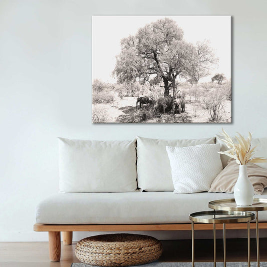 Elephants under shade of tree