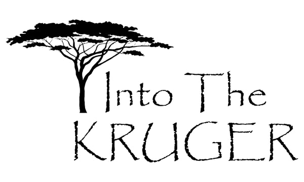 Into The Kruger