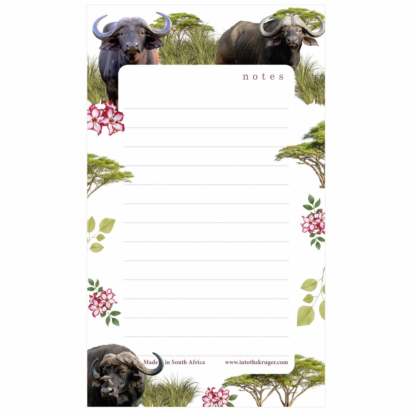 Wildlife Notepad - Kruger National Park - Buffalo