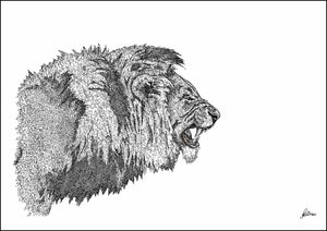 African Lion Signed Print