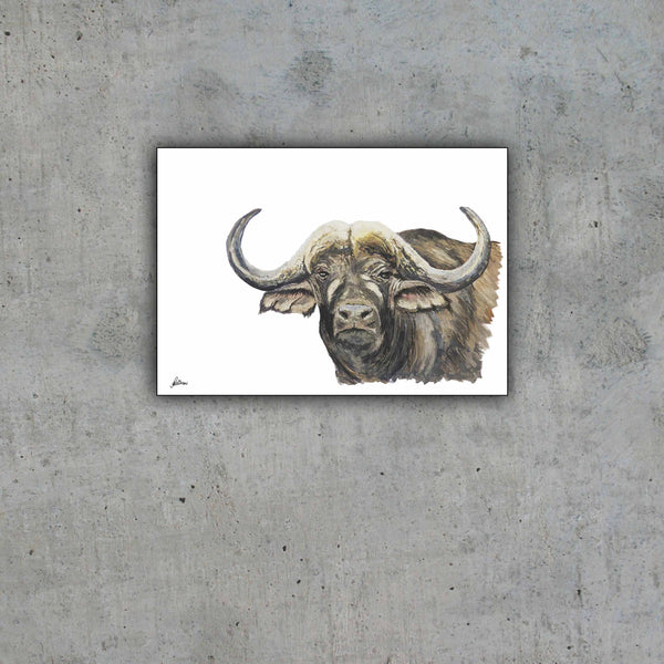 Wildlife Collection Signed Print - African Buffalo