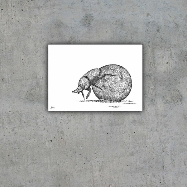 Dung Beetle Signed Print
