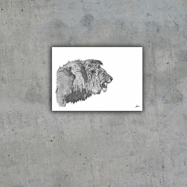 African Lion Signed Print
