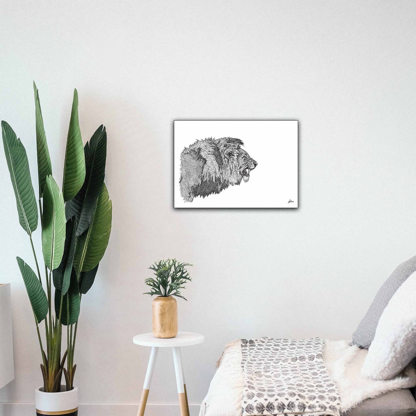 African Lion Signed Print