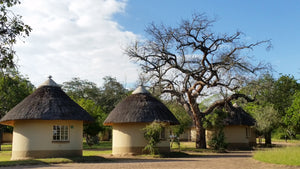 MOVING IN THE RIGHT DIRECTION – KRUGER NATIONAL PARK OPENS UP OVERNIGHT ACCOMMODATION FOR SOME SOUTH AFRICANS