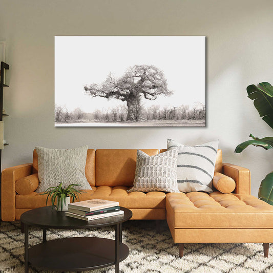 Baobab Tree
