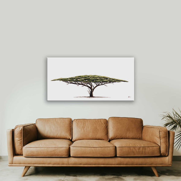 Acacia Tree Canvas Print