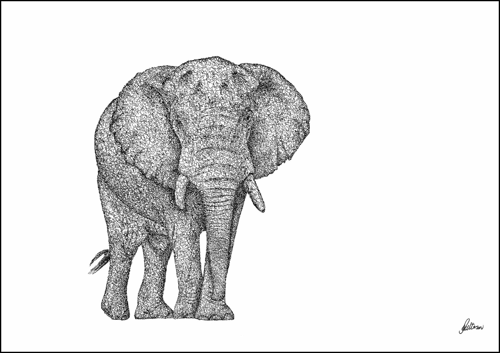 African Bull Elephant Signed Print
