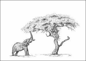 African Elephant and a Acacia Tree SignedPrint