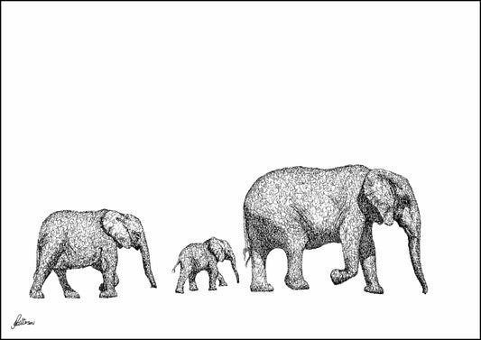 Elephants Walking Signed Print