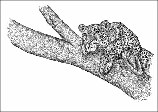 Leopard in Tree Signed Print