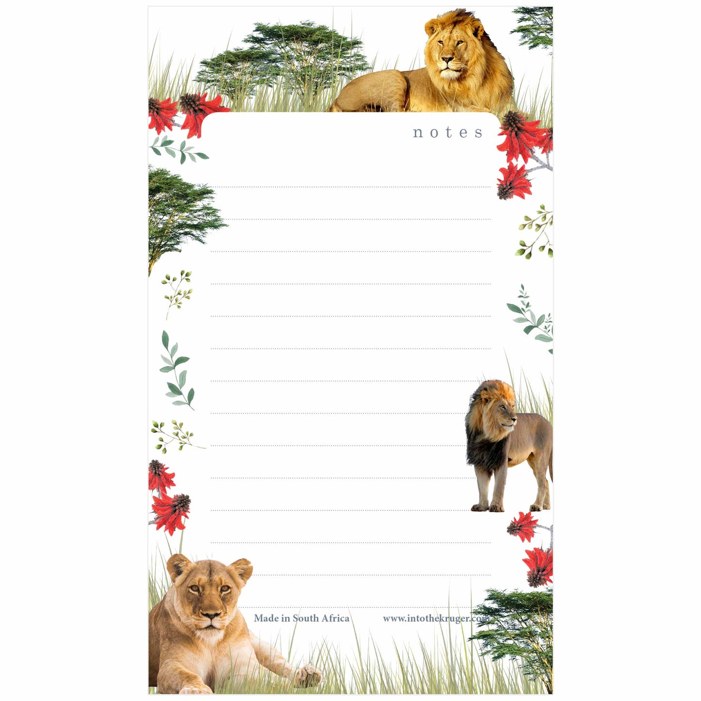 Wildlife Note Pad - Kruger National Park -Lion