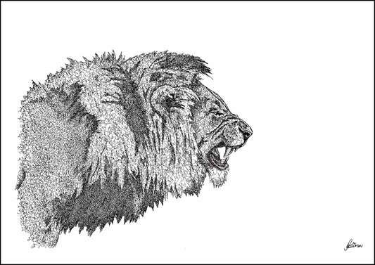 African Lion Signed Print