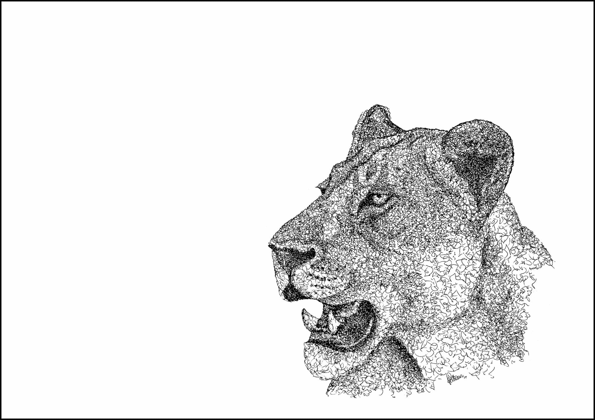 Lioness Signed Print
