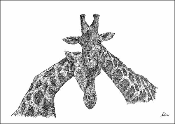 Giraffes Necking Signed Print