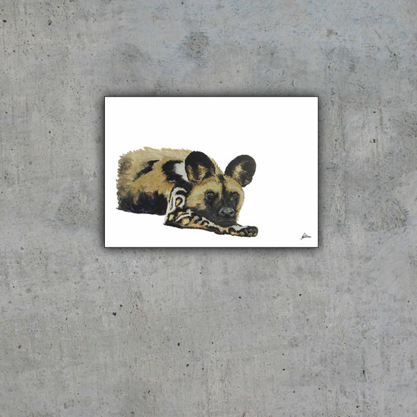 Wildlife Collection Signed Print - African Wild Dog - Waiting game
