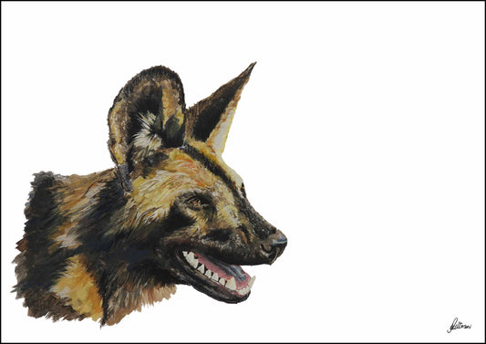 Wildlife Collection Signed Print - African Wild Dog