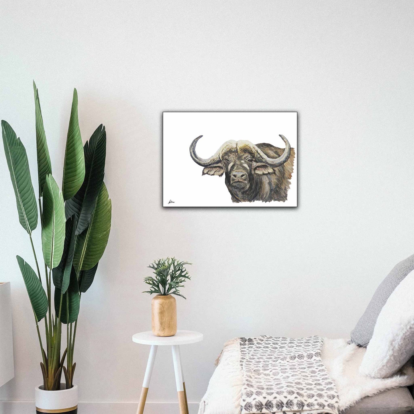 Wildlife Collection Signed Print - African Buffalo