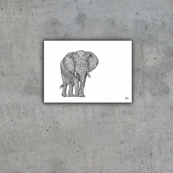 African Bull Elephant Signed Print
