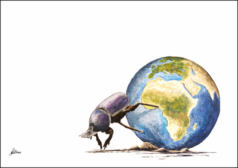 Wildlife Collection Signed Print - Dung Beetle Pushing Earth