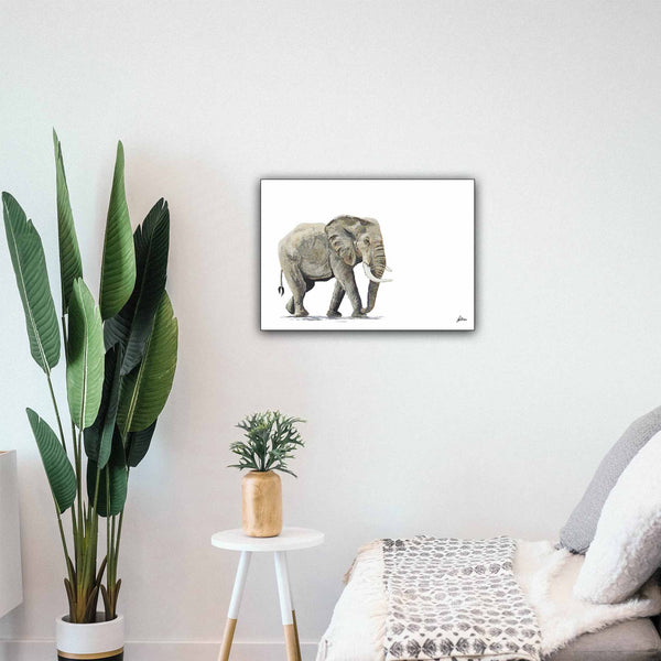 Wildlife Collection Signed Print - Elephant