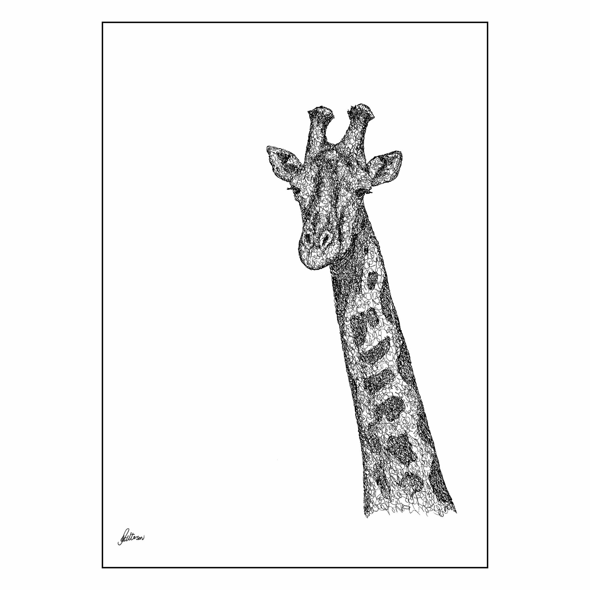 Giraffe Signed Print