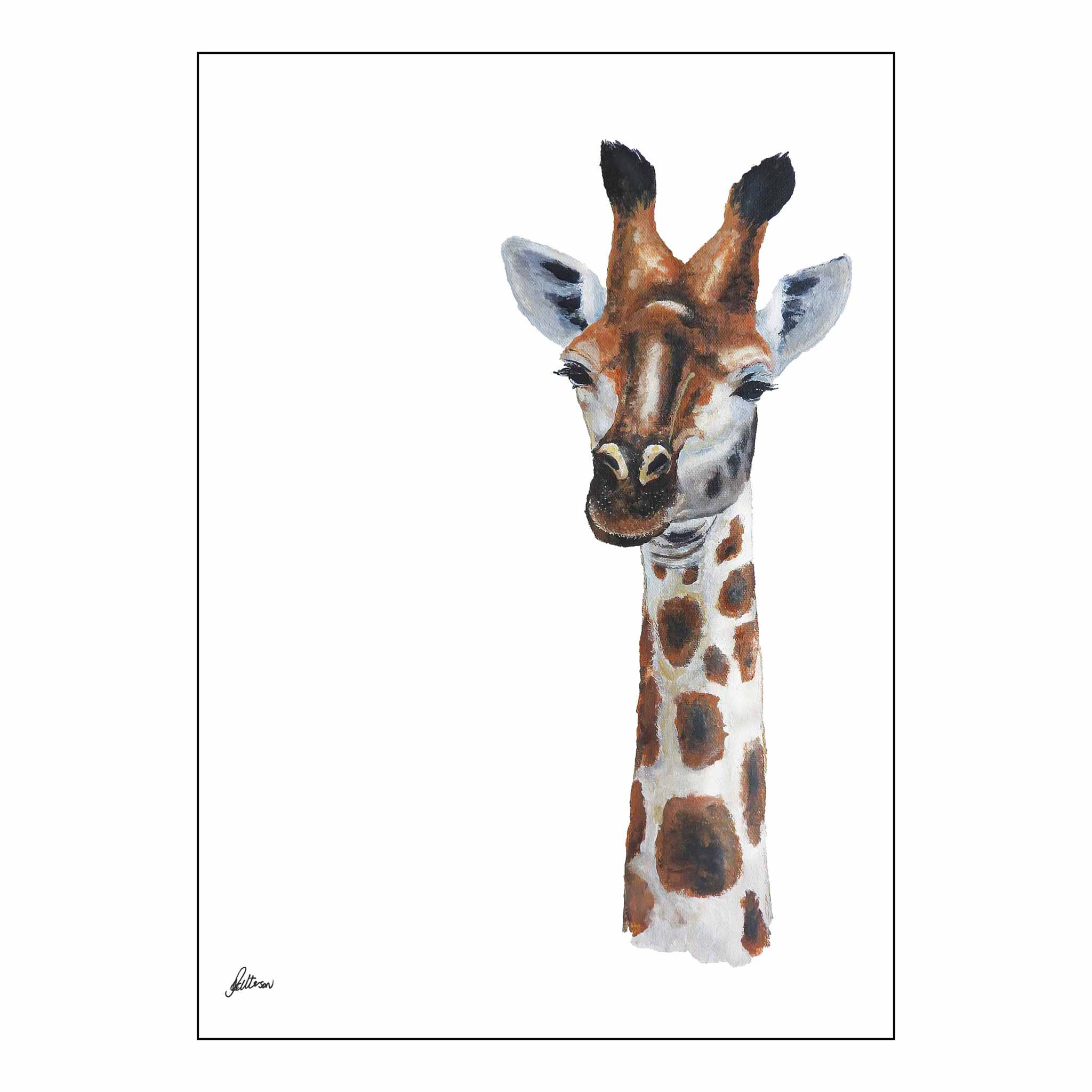 Wildlife Collection Signed Print - Giraffe