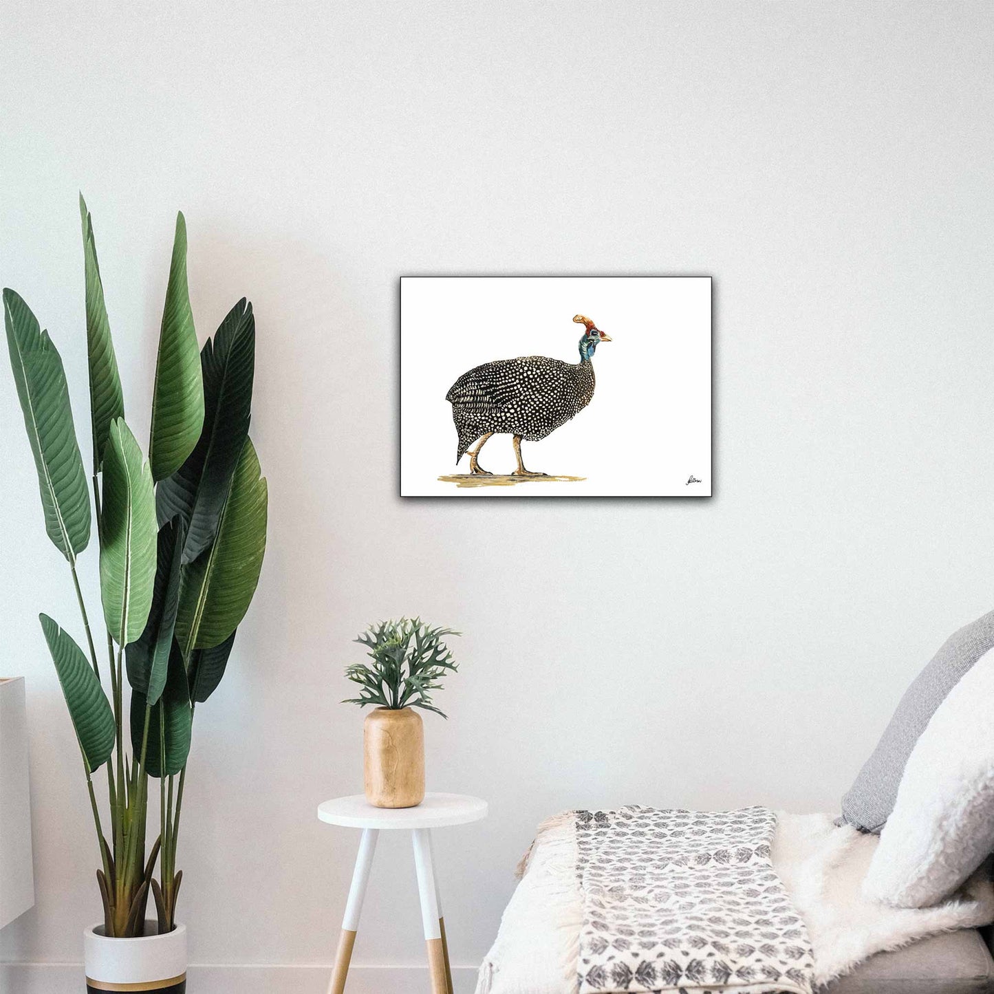 Wildlife Collection Signed Print - Guinea Fowl