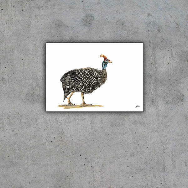 Wildlife Collection Signed Print - Guinea Fowl