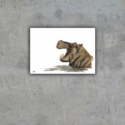Wildlife Collection Signed Print - Hippo