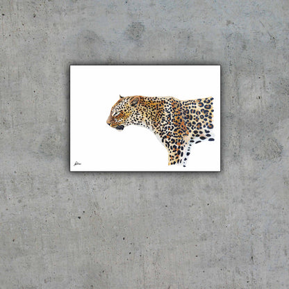 Wildlife Collection Signed Print - Leopard