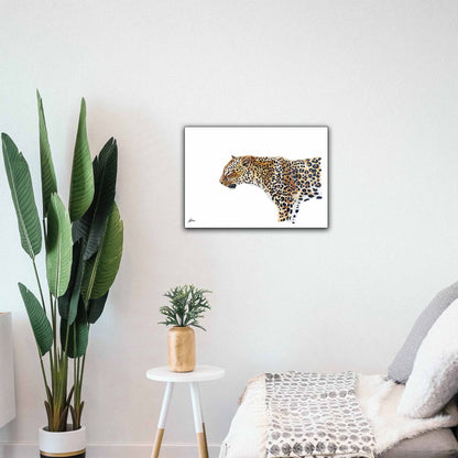 Wildlife Collection Signed Print - Leopard