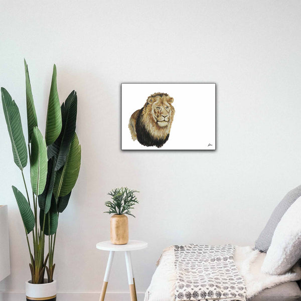 Wildlife Collection Signed Print - Lion