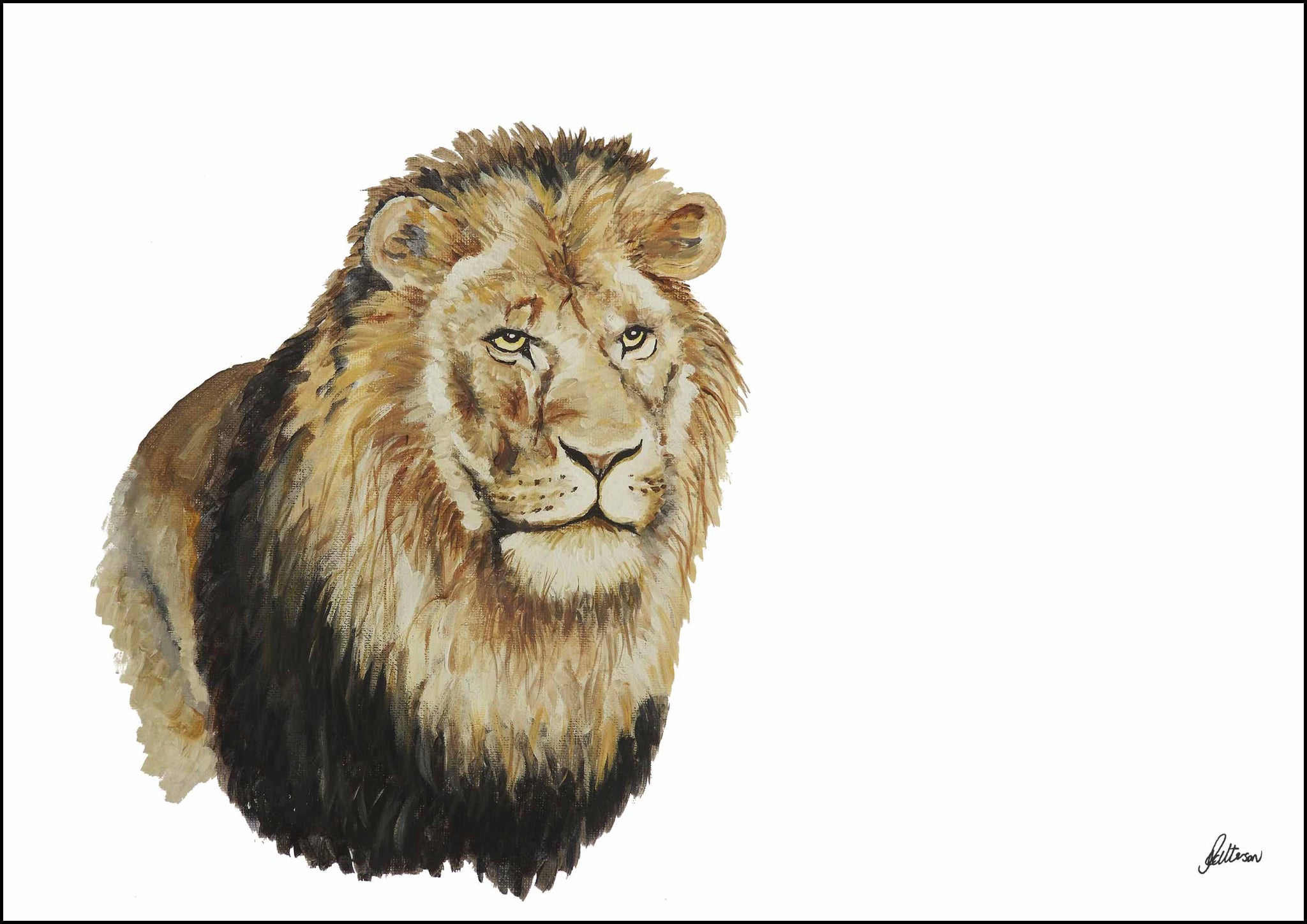Wildlife Collection Signed Print - Lion