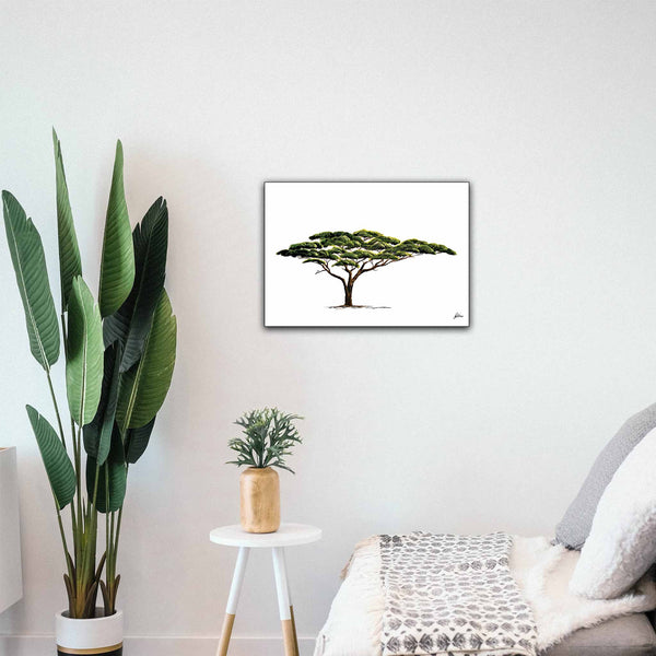 Wildlife Collection Signed Print - Acacia Tree